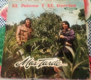 “tejano Tex - Mex” “el Palomo Y El Gorrion” “mas Tarde” " Rare Lp "