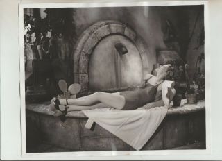 8 X 10 Rare 1939 B & W Pinup Photograph Rko Player Actress Linda Hayes