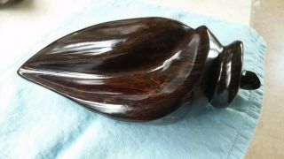 Ironwood Conch Shell Hand Carved Rare Mexico Vintage,  Heavy 10 1/2 " Long 5 " Wide