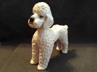 Vintage Rosenthal Porcelain Dog Figurine - Made In Germany - Poodle Rare
