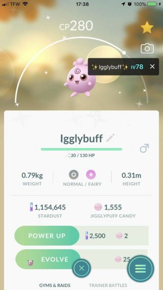 ✨ Shiny Igglybuff Pokemon Go Trade 20k Trade Mega Rare ✨ Male ✨ Nr Pink Pokémon