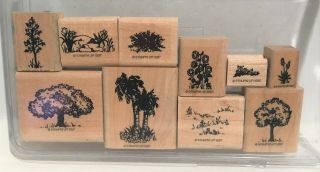 Stampin Up Luscious Landscapes Nature Trees Wood Rubber Stamps Set Rare