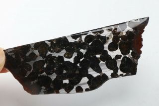 40g RARE slices of Kenyan Pallasite Meteorite Olive S8434 2