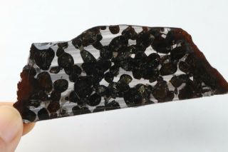 40g RARE slices of Kenyan Pallasite Meteorite Olive S8434 3