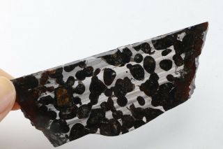 40g RARE slices of Kenyan Pallasite Meteorite Olive S8434 4