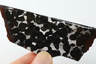 40g RARE slices of Kenyan Pallasite Meteorite Olive S8434 6