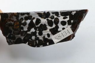 40g RARE slices of Kenyan Pallasite Meteorite Olive S8434 8