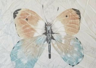 Rare POTTERY BARN Butterflies/Butterfly KING DUVET 3