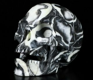 Huge 5.  2 " Rare Fossil Carved Crystal Skull,  Realistic,  Crystal Healing