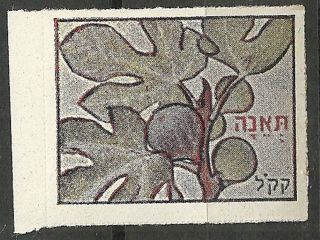 Judaica Poland Rare Old Label Stamp Kkl Jnf Fruits 1939 Fig