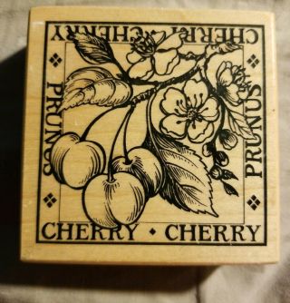 Rare Psx Botanical G - 1286 Cherry Wood Mounted Rubber Stamp 1994