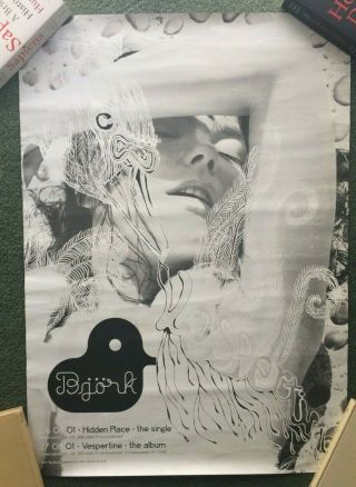 Rare 2001 Bjork Vespertine Hidden Place Promo Poster 24 " X 34 "