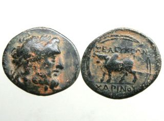 Tralleis Lydia (as Selukeia) Bronze Ae19_zeus & Humped Bull_very Rare Type