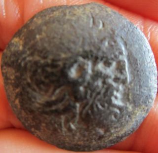 Ptolemy Ptolemaic Egypt Medium Bronze 5.  7 Gram 25 Mm Coin Zeus Eagle Isis Rare