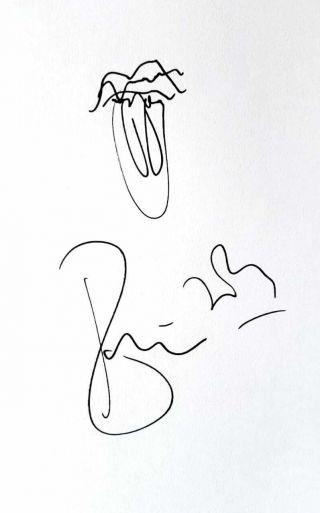Rolling Stones Signed Ronnie Wood With Logo Sketch Rare