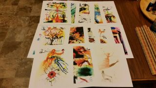Set Of 13 Alice In Wonderland Rare Salvador Dali Prints