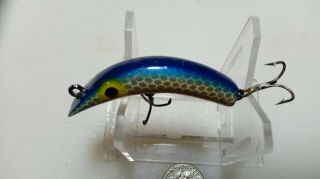 ' LAZY DAZY ' RARE 1950 ' S LURE,  GRAY SCALE,  2 IN.  BLUE TOP,  PROPERLY MARKED,  EXC. 2