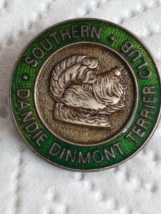 Very Rare Vintage Southern Enamel Dandie Dinmont Terrier Club Badge