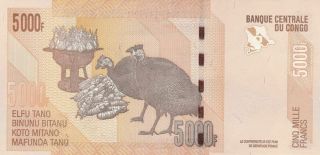 Congo 5000 5.  000 Franc 2013 Without Serial Error Rare UNC 2