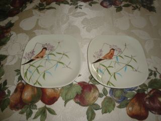 Red Wing Dinnerware Spring Song 2 Bread And Butter Plates Rare