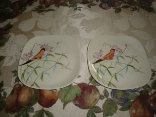 Red Wing Dinnerware Spring Song 2 Bread and Butter Plates Rare 2