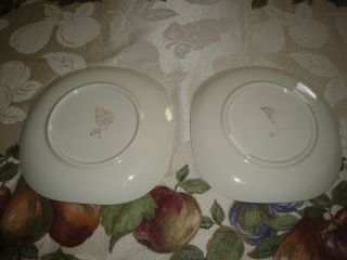Red Wing Dinnerware Spring Song 2 Bread and Butter Plates Rare 3
