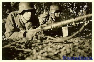 Rare German Elite M.  G.  34 Machine Gun Team Prone In Woods Awaiting Enemy