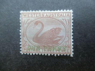 Western Australia Stamps: 1893 - 95 Overprint One Penny - Rare (e184)