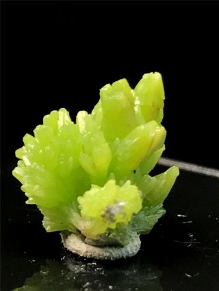 2g Natural Green Pyromorphite Crystal Cluster Rare Mineral Specimens
