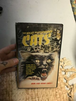 Night Of A Thousand 1000 Cats Horror Sov Slasher Rare Oop Vhs Big Box Slip