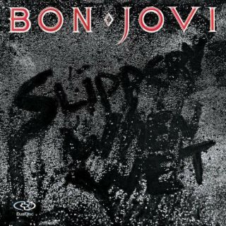 Bon Jovi Slippery When Wet Rare Out Of Print Dualdisc 5.  1 Surround Sound Disc