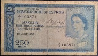 Cyprus 1955 250 Mils P 33 Queen Qeii British Colony Rare Afine Greek