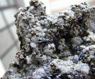 Rare Hutchinsonite Metallic Crystals On Quartzs And Pyrites From Peru