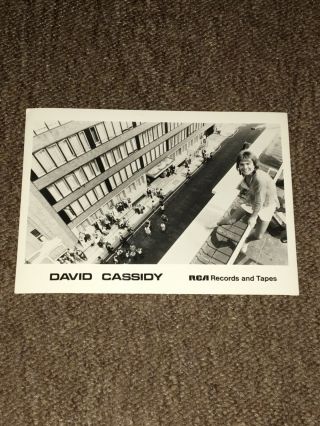 David Cassidy - Rare Rca Records Photograph.  The Partridge Family