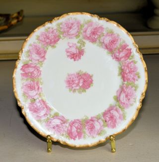 Rare Haviland Schleiger 55 Pink Drop Rose Dessert Plate 7 - 3/8”