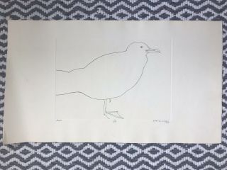 Art: Beth Van Hoesen - Rare Etching - Signed & Numbered (45/210) - Gull,  1968