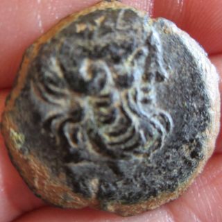 Ptolemy Ptolemaic Egypt Medium Bronze 6.  1 Gram 25 Mm Coin Zeus Eagle Rare