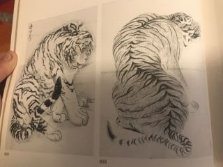 Rare Japanese Painting Sketches Of Animals Samurai Tigers Hawks Tattoo Art Book