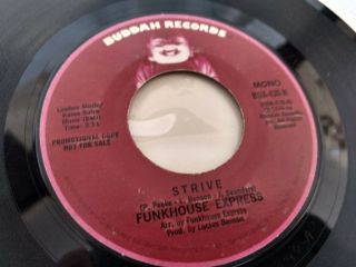 Funkhouse Express 45 Strive Buddah Promo 430 Rare 70s Soul Funk Vg,