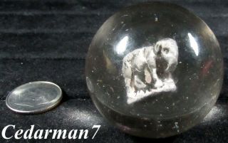 Cedarman7,  Rare Vintage 1 & 1/2 " Played With German Elephant Sulphide Marble