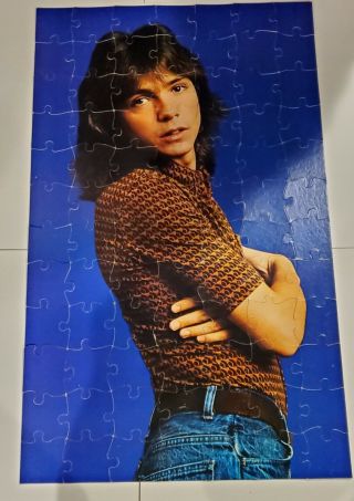 David Cassidy Rolling Stone Cover And Life - Size Jigsaw Puzzle Rare