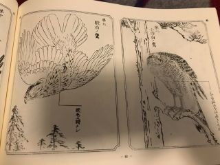RARE Kyosai Hawk Sketch Book Japanese Tattoo Art Reference Irezumi Horimono Taka 3