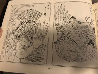 RARE Kyosai Hawk Sketch Book Japanese Tattoo Art Reference Irezumi Horimono Taka 4