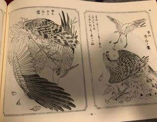 RARE Kyosai Hawk Sketch Book Japanese Tattoo Art Reference Irezumi Horimono Taka 5