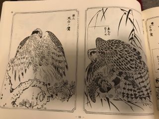 RARE Kyosai Hawk Sketch Book Japanese Tattoo Art Reference Irezumi Horimono Taka 6
