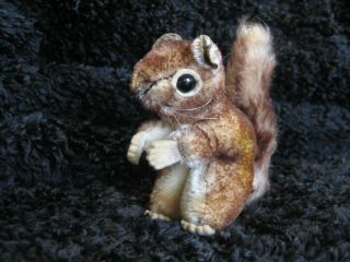 Rare 1959/83 German Steiff Squirrel W.  Button & Chest Tag Perri