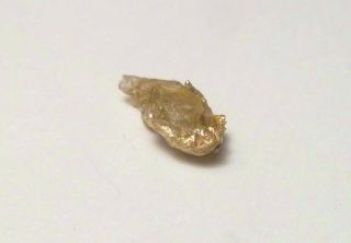 Rare California Gold Nugget W/quartz Placer Nugget.  74 Grams