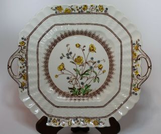 Copeland Spode Buttercup Old Mark 11 1/8 " Rare Square Handled Cake Plate