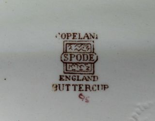 Copeland Spode Buttercup Old Mark 11 1/8 