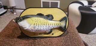 Rare Billy Mouth Elvis Singing Fish Bass Trout Catfish Lobster